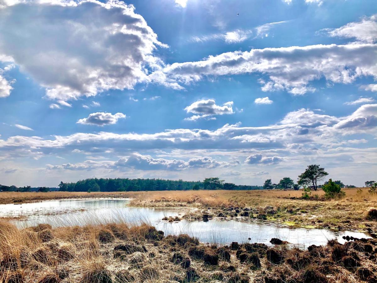Wilde Moeflon, Geniet Van De Vrije Natuur! Otterlo Exterior photo